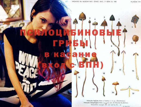 экстази Богородицк